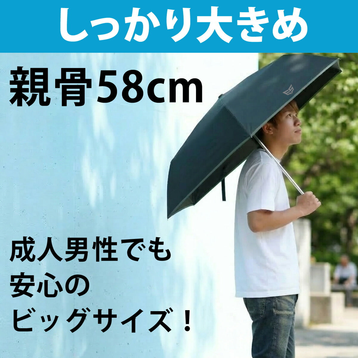 エスラッド 傘 メンズ ブラック シルバー ESUA61
