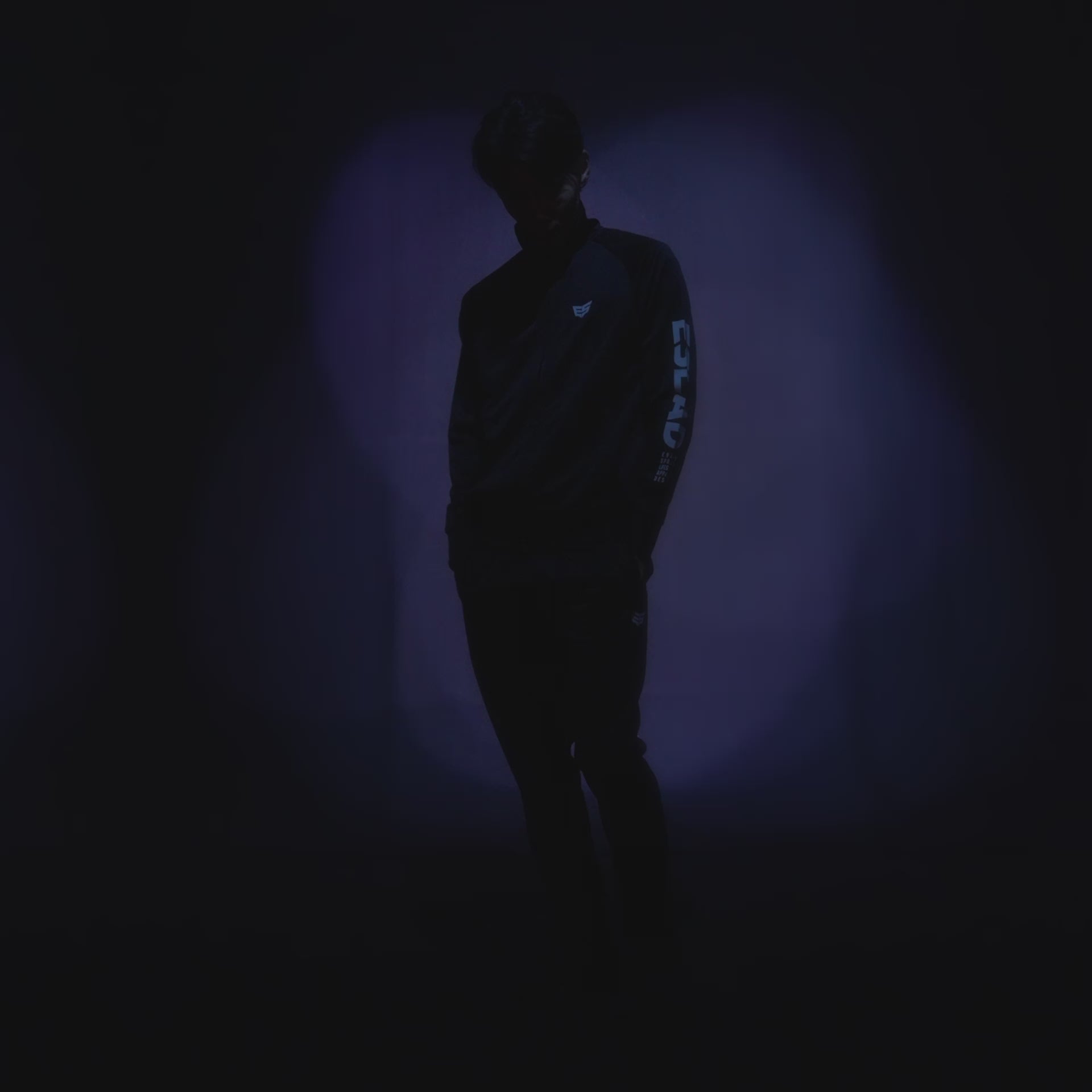 動画を読み込む: 